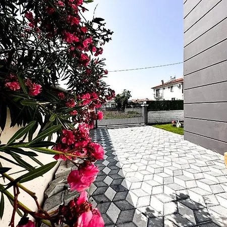Moon 달라만